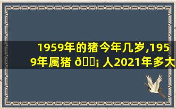1959年的猪今年几岁,1959年属猪 🐡 人2021年多大